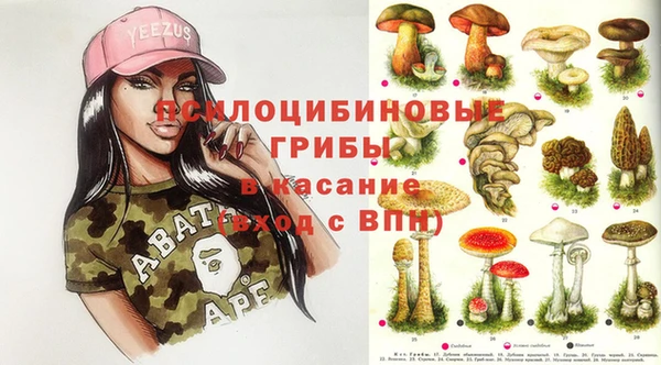молекула духа Абинск